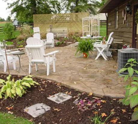 1772114916-ccd 955.webp